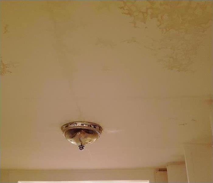 Ceiling water stains from water intrusion causing property damage