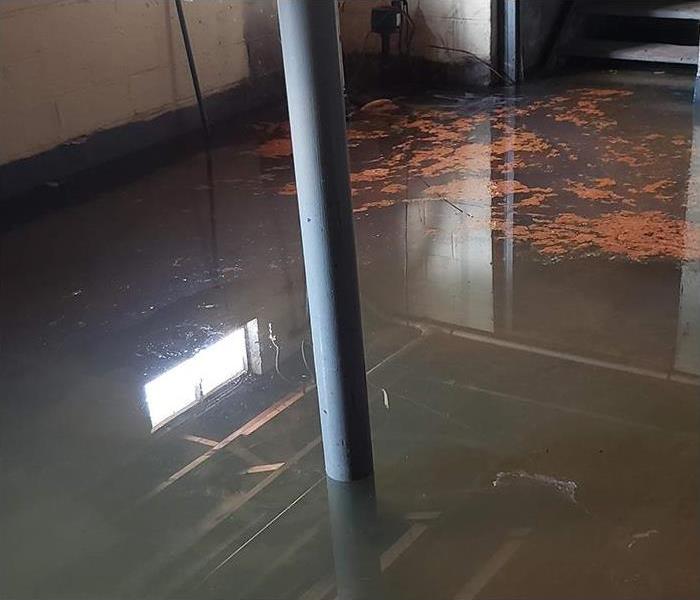 Flooded basement with several inches of contaminated ground water