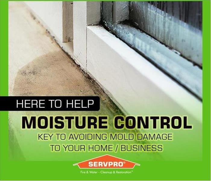 Window moisture and indoor humidity property damage concerns